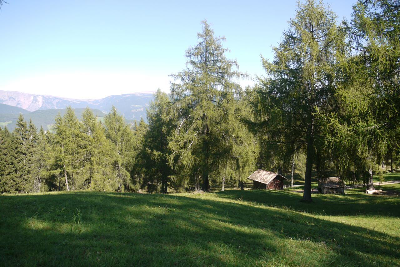 Hotel Wieslhof Колепиетра Екстериор снимка